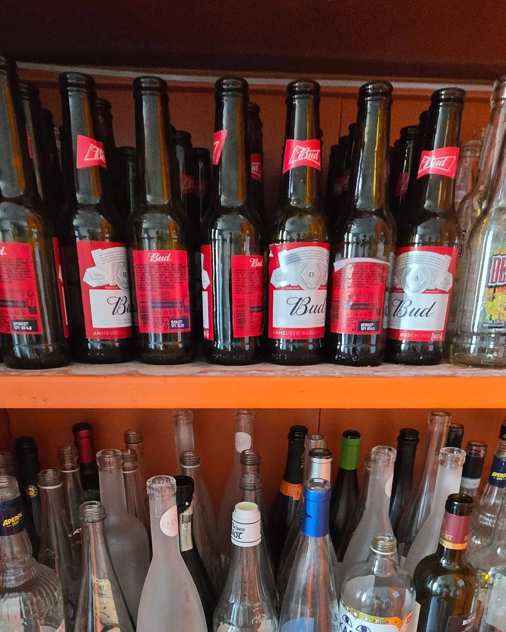 Deux rangées de bouteilles en verre vides alignées sur des étagères orange